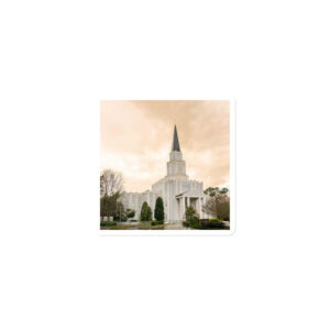 After the Storm | Houston Texas Temple Magnet